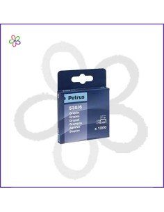 Grapas 530/6 Petrus