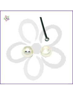 Terminal bola