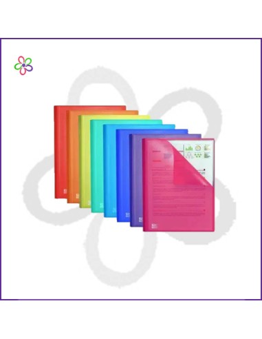 Carpeta A4 20 fundas Oxford