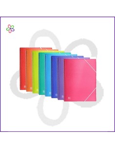 Carpeta 20 fundas espiral...