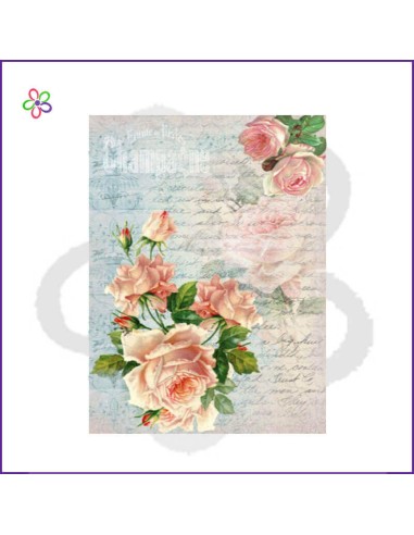 Papel arroz carta y rosas