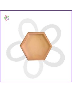 Bandeja hexagonal 22 cm