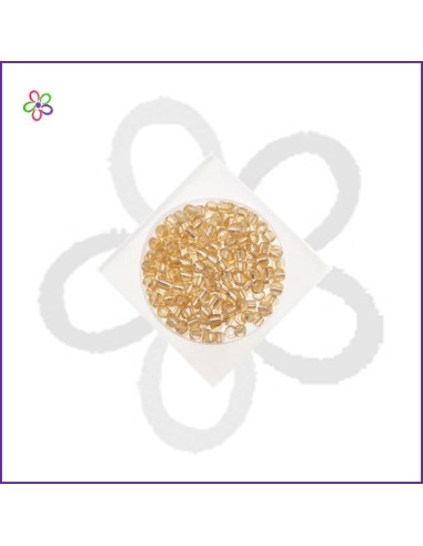 Bolsa Rocalla Dorado brillante 6/0