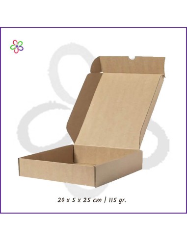 Caja de cartón 20x5x25