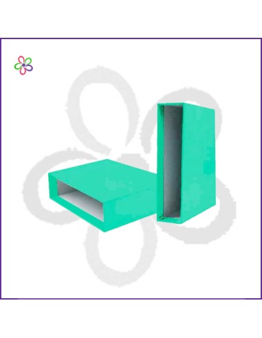 Caja archivador Fº lisos