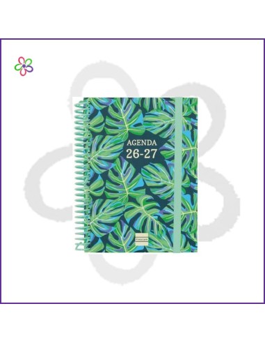 Agenda Finocam Diva 1/8 SVH Selva 26-27