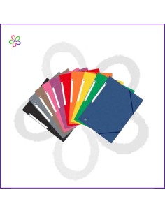 Carpeta de gomas A4+ cartón...