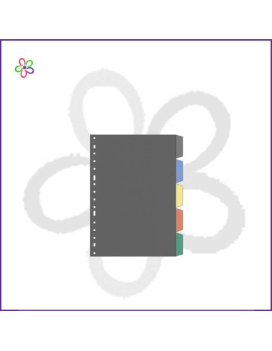 Separadores A5 5 posiciones multifinalfa